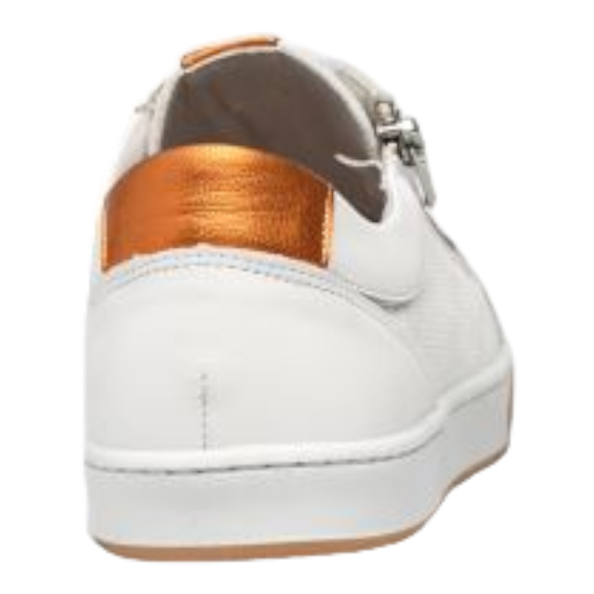 Dorking - Carol D8727