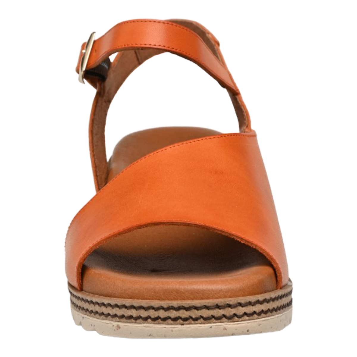 Dorking - Espe D8771