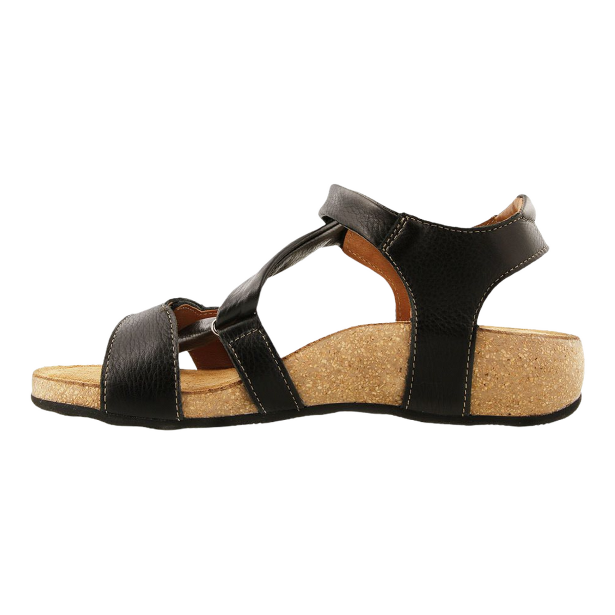 Taos - Universe Wide