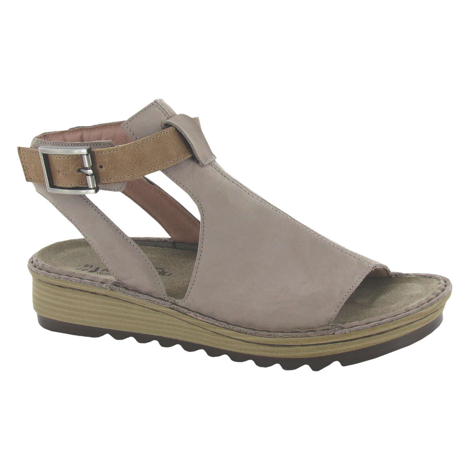 Naot ardisia hotsell