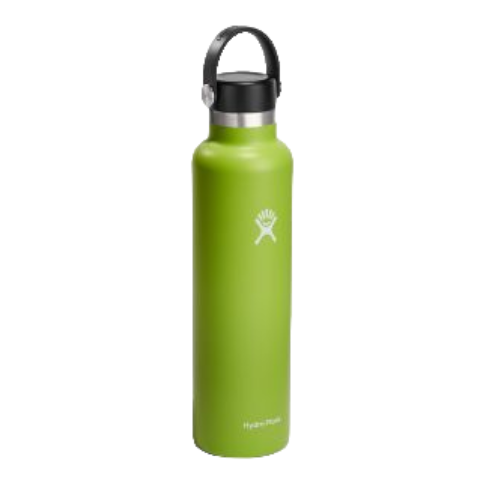 Hydro Flask 24 oz. Standard Mouth Bottle - Seagrass